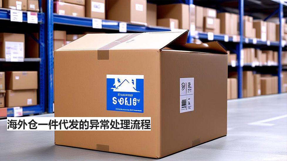 海外仓一件代发的异常处理流程 海外仓一件代发的异常处理流程
