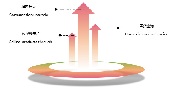 海外仓系统25032406
